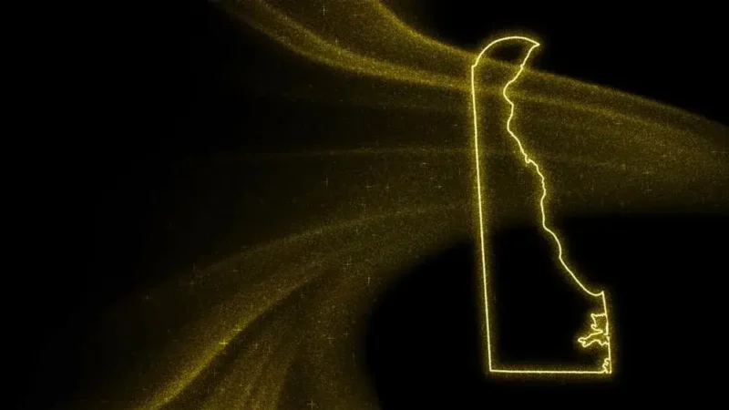Delaware gold glitter map, best state to form LLC